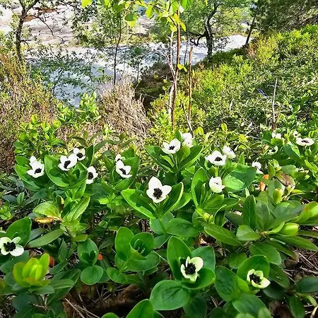 Special In Sirdal بيت للعطل